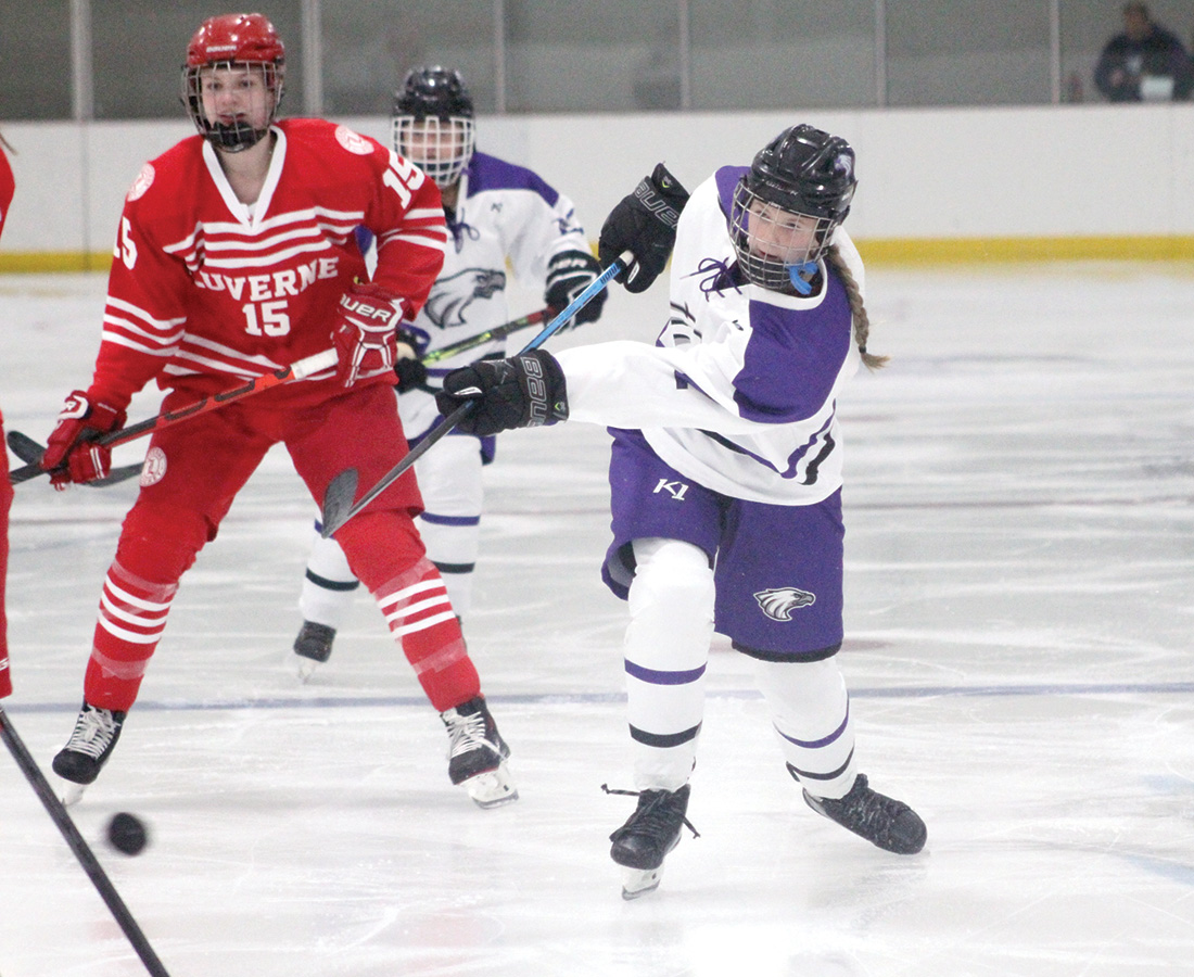 Van Batavia leads Luverne past New Ulm News, Sports, Jobs The Journal